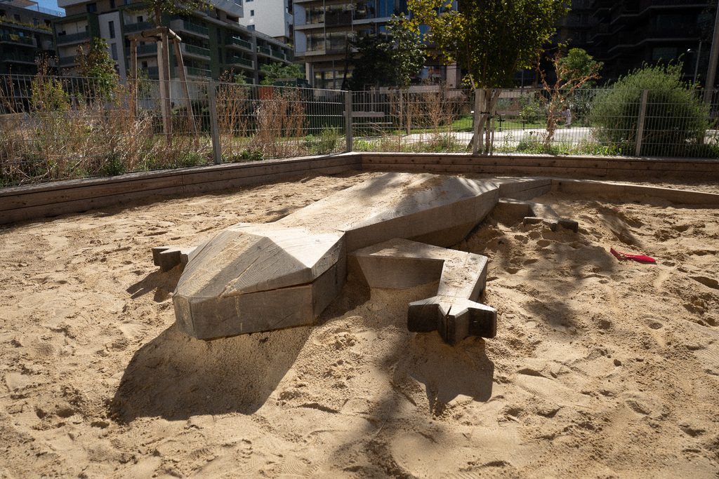Holzeidechse im Sandspielbereich